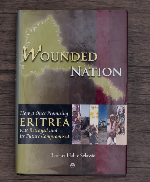 Cover of Wounded Nation