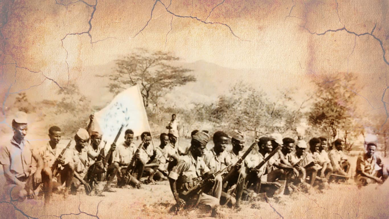 The Battle of Togoruba