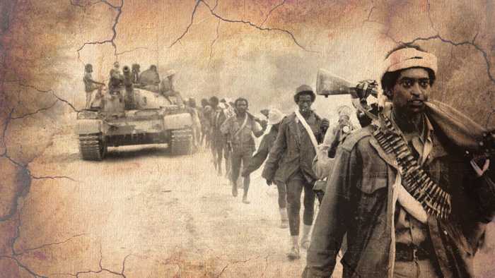 Capacities of EPLF and Ethiopian Armies at the Battle of Afabet when EPLF launched an offensive to destroy Nadew Command
