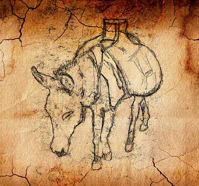 donkey carrying water in girba