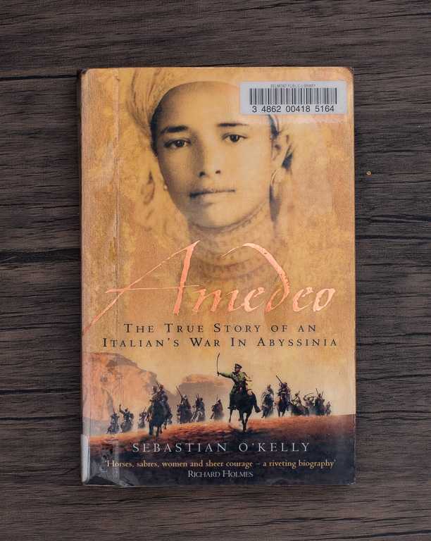 Amedeo is the extraordinary true story of Italian cavalry officer Amedeo Guillet who refused to surrender when Italy capitulated in WWII. He led a ragtag group including his Ethiopian lover in continued fighting against the British.