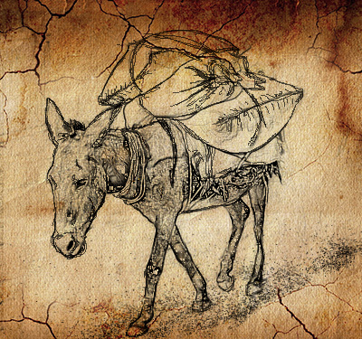Donkey carrying sacks full of grain