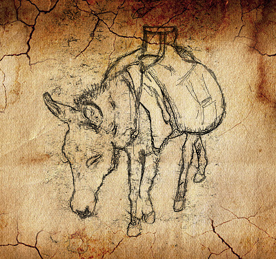 Donkey carrying water in girba, a pair of water-tight bladders that resemble grain sacks