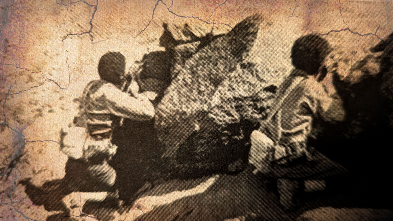 EPLF tegadelti in battle holding a defensive position.
